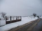 Třibřichy